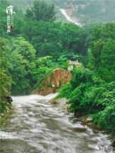 成都蓉城队遭到本土大鱼自荐，却被高层拒绝加盟